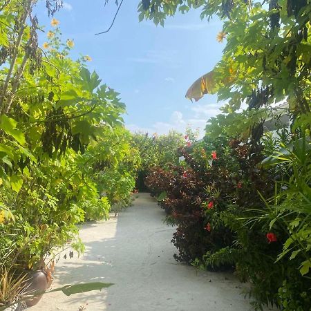 Coral Castle - Goidhoo Maldives Hotel Exterior photo